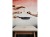 fbfc766f9aa59c51e836e3819cff9096